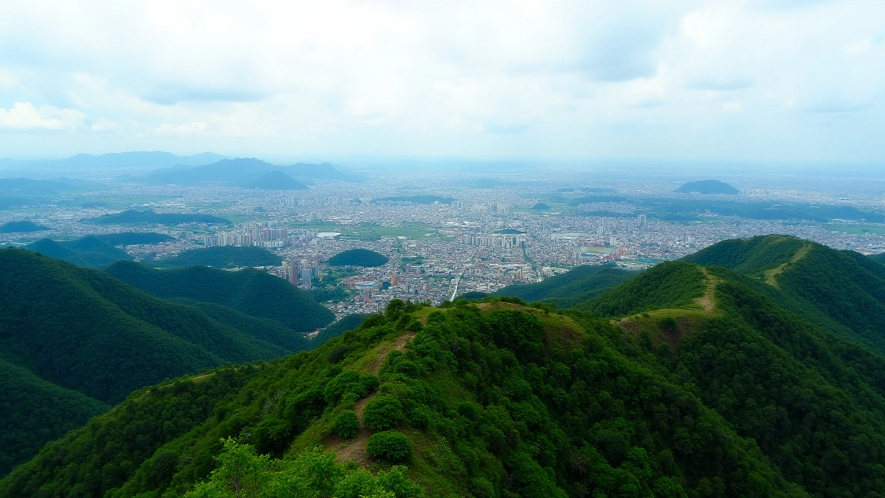 Palestra "Elemental da Mata" Destaca Importância da Consciência Ambiental em Vitória